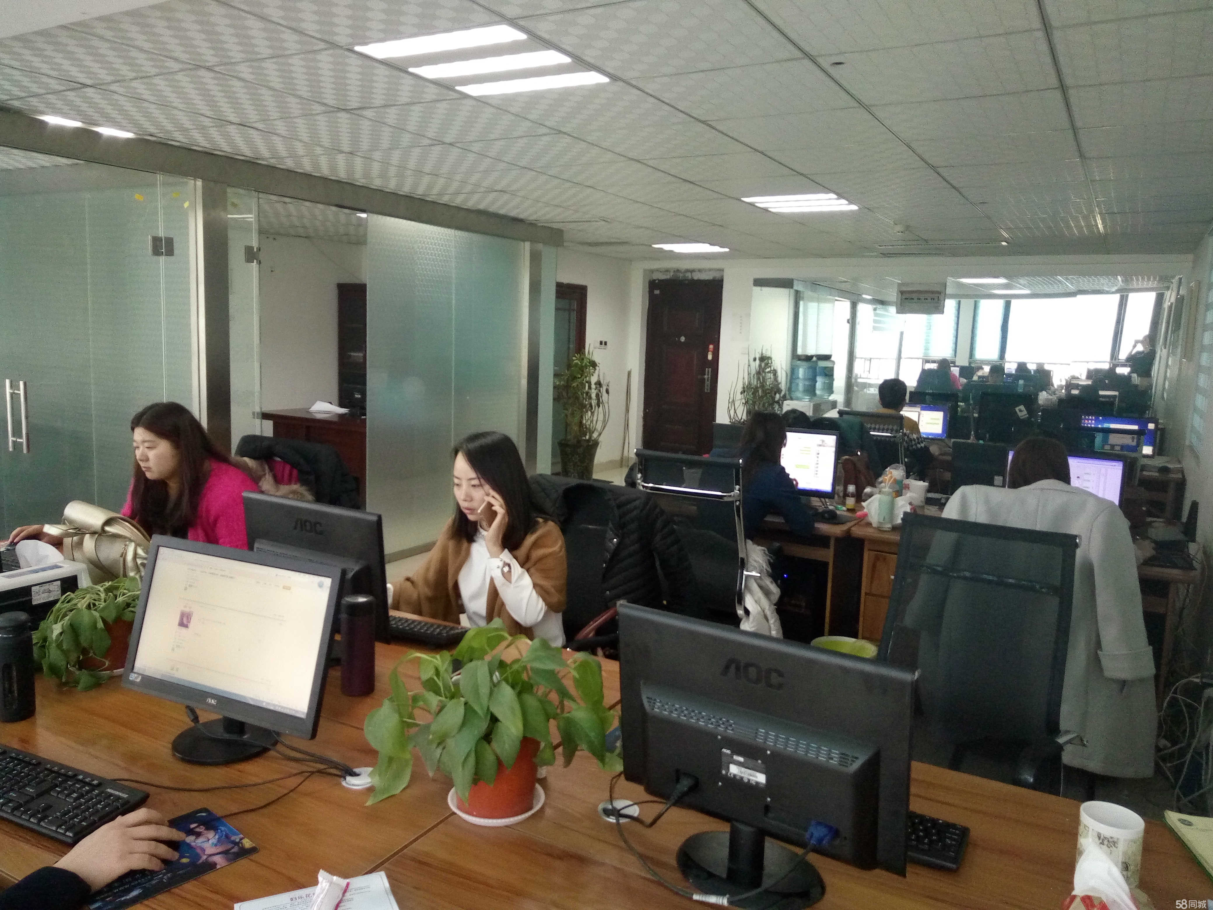 洛陽(yáng)恩億電子商務(wù) 開(kāi)啟專(zhuān)業(yè)商務(wù)信息咨詢新篇章