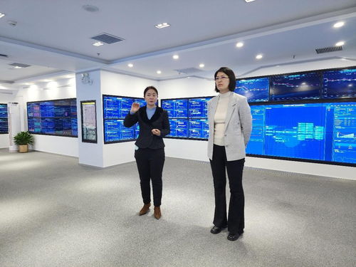 深化商務(wù)合作，探索信息賦能 中新天津生態(tài)城商務(wù)局調(diào)研上海鋼聯(lián)北京辦公區(qū)